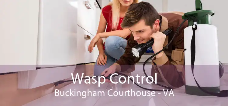 Wasp Control Buckingham Courthouse - VA