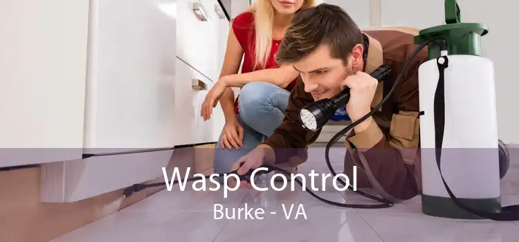 Wasp Control Burke - VA