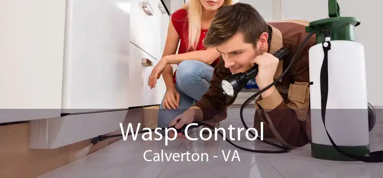 Wasp Control Calverton - VA