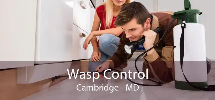 Wasp Control Cambridge - MD