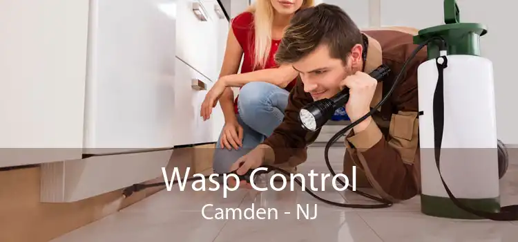 Wasp Control Camden - NJ