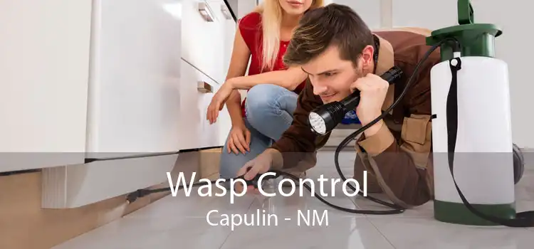 Wasp Control Capulin - NM