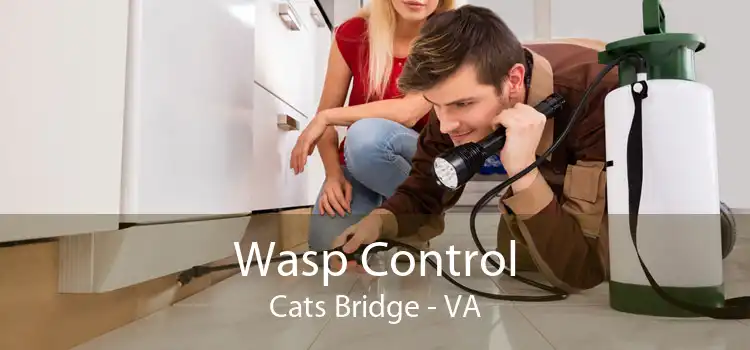 Wasp Control Cats Bridge - VA