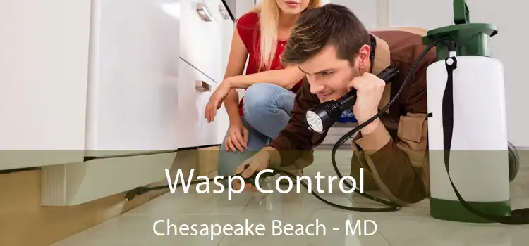  Wasp Control Chesapeake Beach - MD