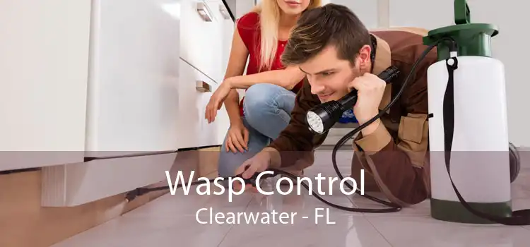 Wasp Control Clearwater - FL