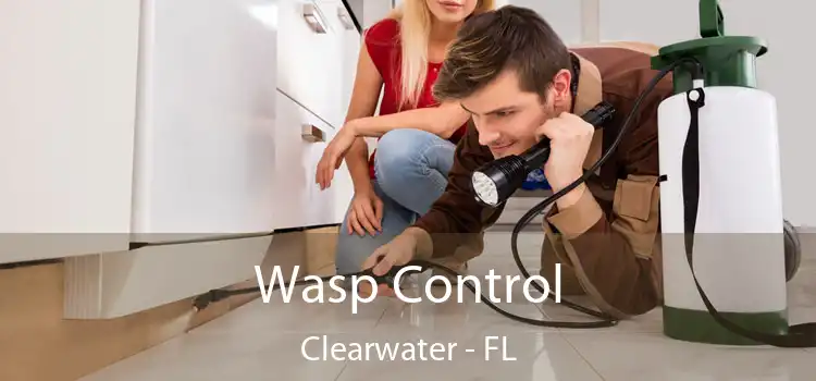  Wasp Control Clearwater - FL