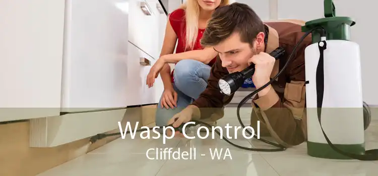 Wasp Control Cliffdell - WA