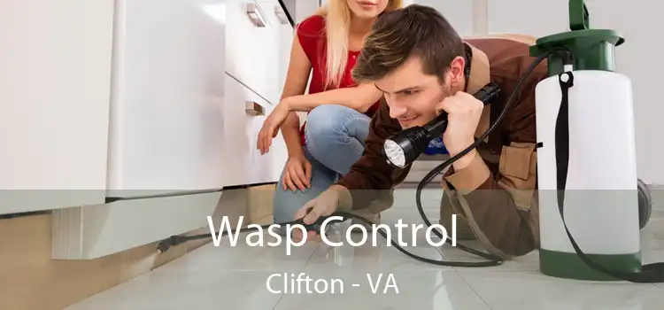  Wasp Control Clifton - VA