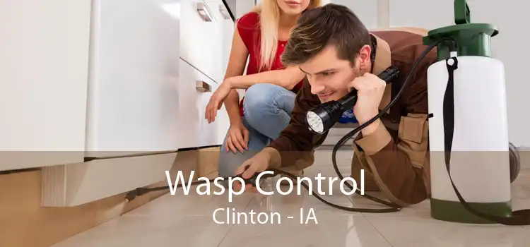 Wasp Control Clinton - IA