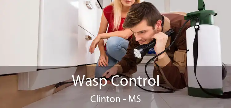  Wasp Control Clinton - MS