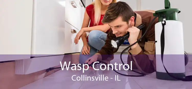 Wasp Control Collinsville - IL