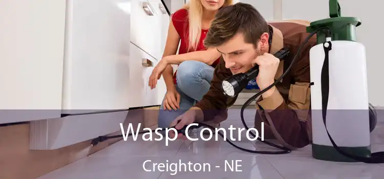 Wasp Control Creighton - NE