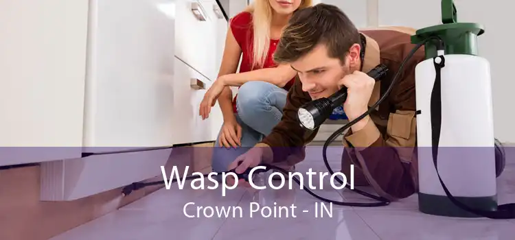 Wasp Control Crown Point - IN
