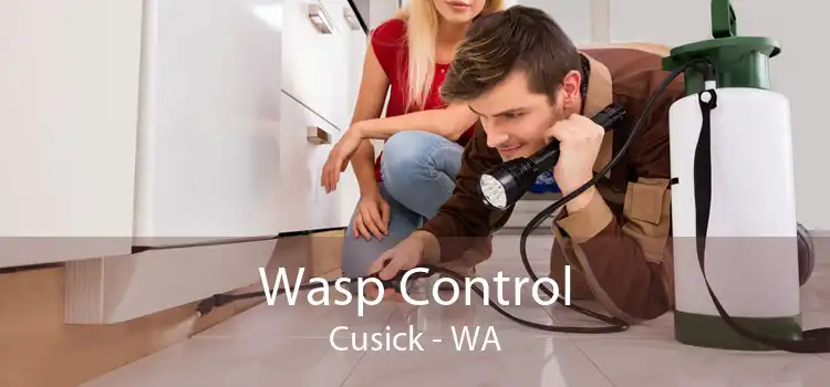 Wasp Control Cusick - WA