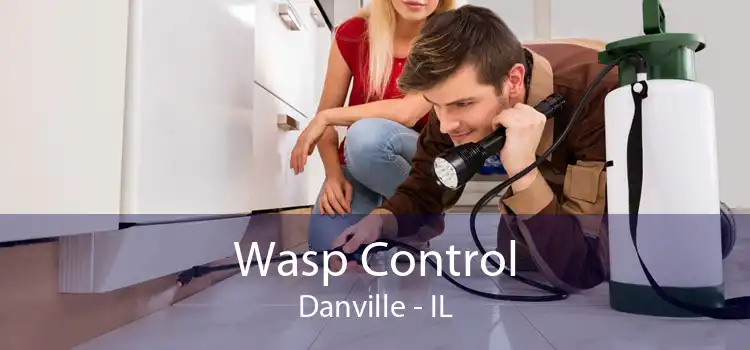 Wasp Control Danville - IL