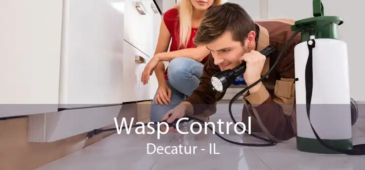 Wasp Control Decatur - IL