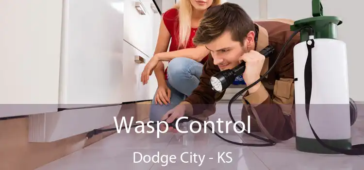  Wasp Control Dodge City - KS