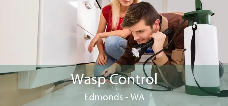 Wasp Control Edmonds - WA