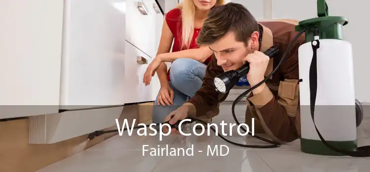 Wasp Control Fairland - MD