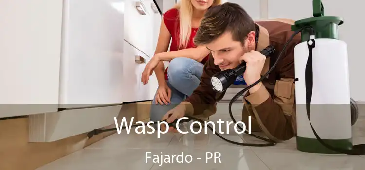  Wasp Control Fajardo - PR