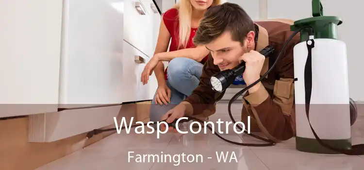  Wasp Control Farmington - WA