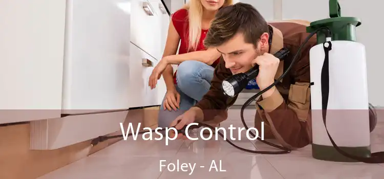  Wasp Control Foley - AL