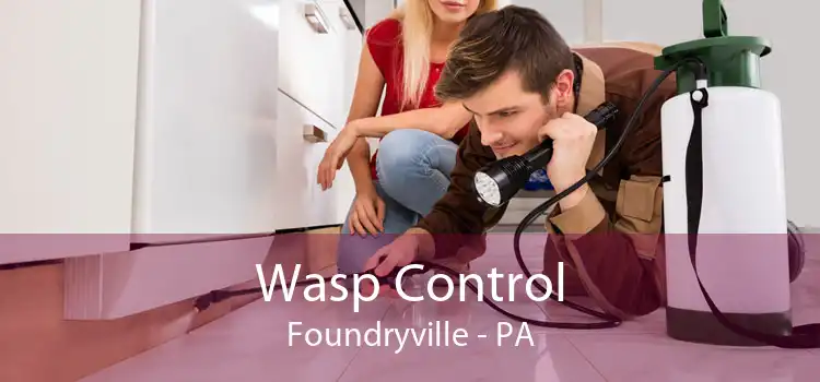 Wasp Control Foundryville - PA