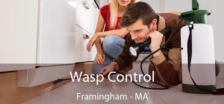  Wasp Control Framingham - MA