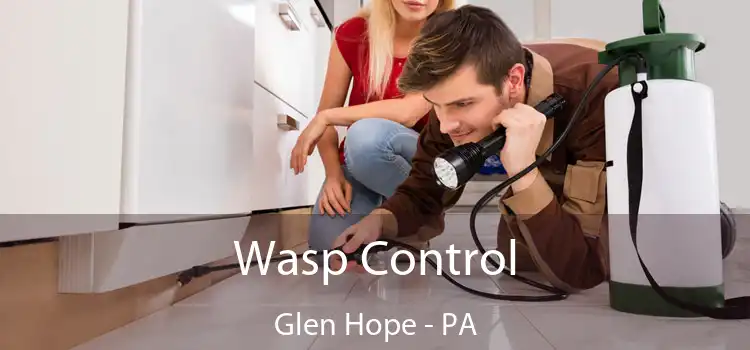  Wasp Control Glen Hope - PA