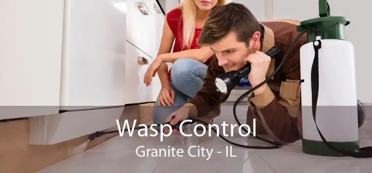 Wasp Control Granite City - IL