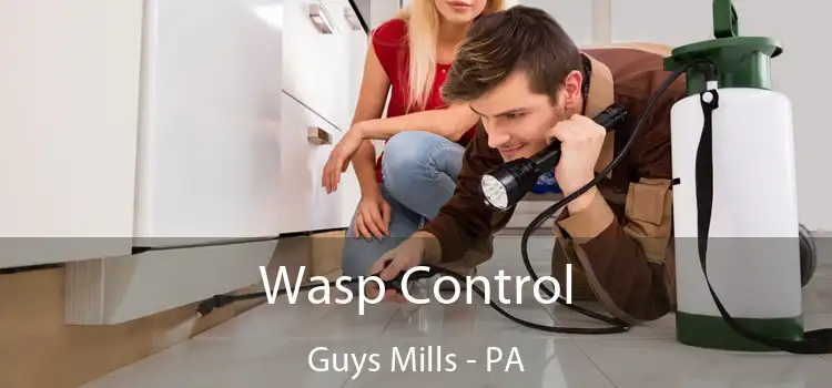  Wasp Control Guys Mills - PA