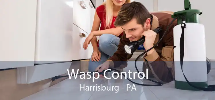 Wasp Control Harrisburg - PA