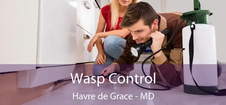  Wasp Control Havre de Grace - MD