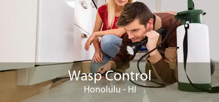 Wasp Control Honolulu - HI