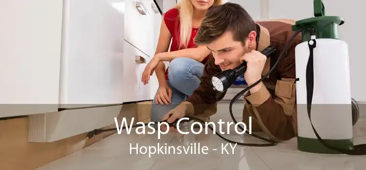 Wasp Control Hopkinsville - KY