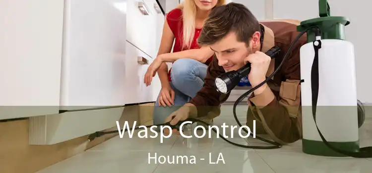 Wasp Control Houma - LA