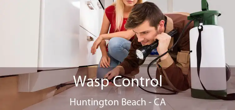  Wasp Control Huntington Beach - CA