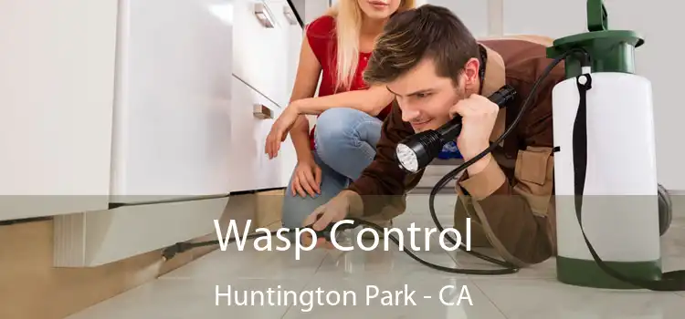  Wasp Control Huntington Park - CA