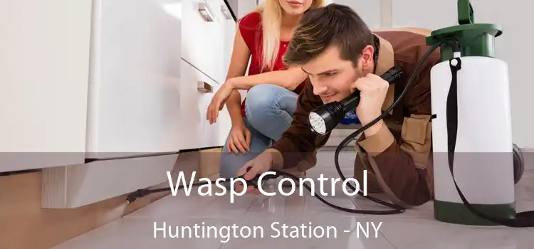  Wasp Control Huntington Station - NY