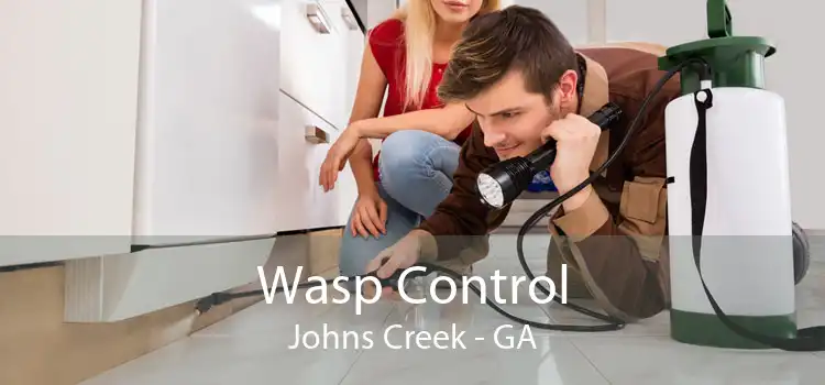 Wasp Control Johns Creek - GA