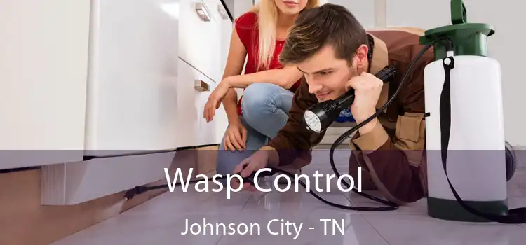 Wasp Control Johnson City - TN