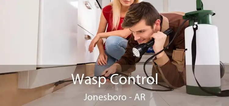  Wasp Control Jonesboro - AR
