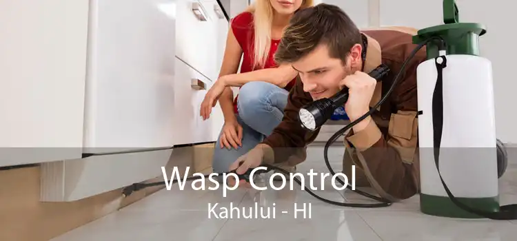Wasp Control Kahului - HI