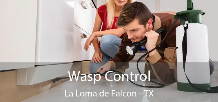  Wasp Control La Loma de Falcon - TX