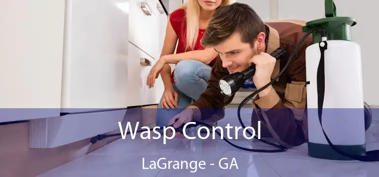  Wasp Control LaGrange - GA