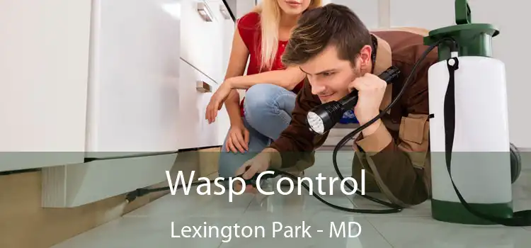  Wasp Control Lexington Park - MD