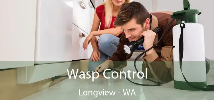 Wasp Control Longview - WA