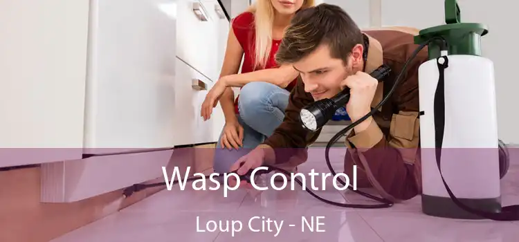 Wasp Control Loup City - NE