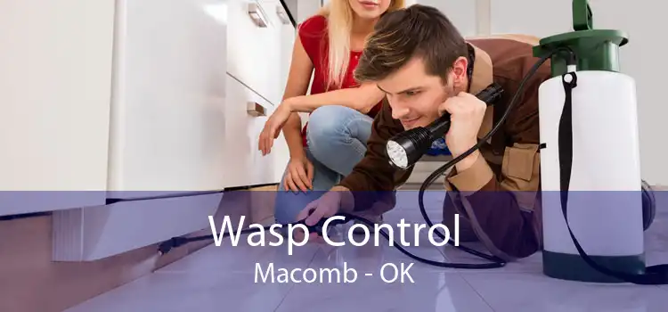 Wasp Control Macomb - OK
