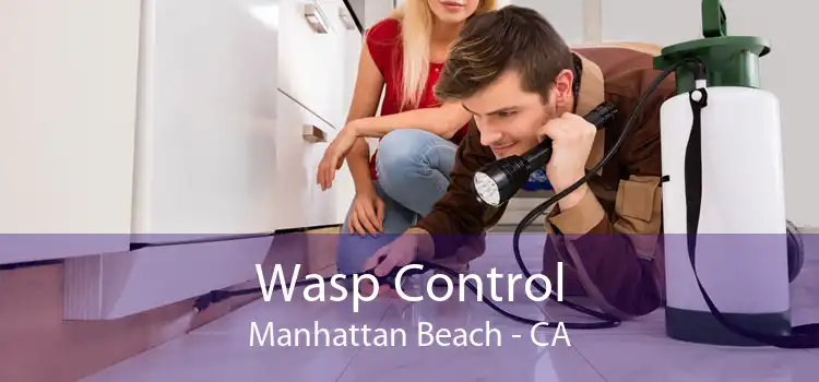 Wasp Control Manhattan Beach - CA